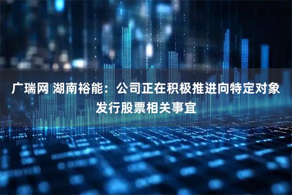 广瑞网 湖南裕能：公司正在积极推进向特定对象发行股票相关事宜