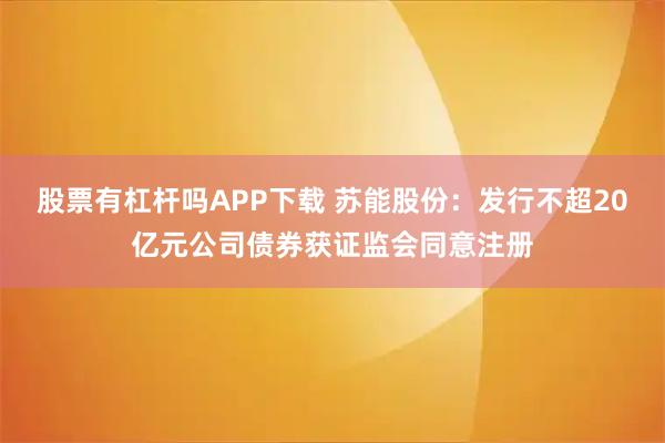 股票有杠杆吗APP下载 苏能股份：发行不超20亿元公司债券获证监会同意注册