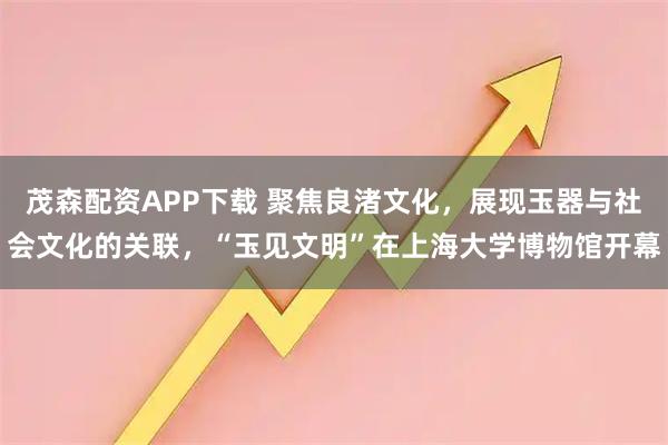 茂森配资APP下载 聚焦良渚文化，展现玉器与社会文化的关联，“玉见文明”在上海大学博物馆开幕