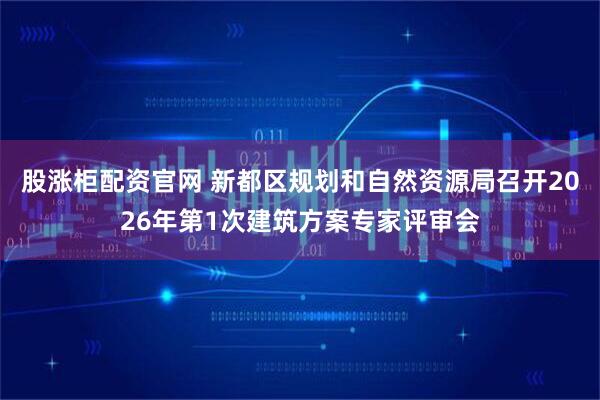 股涨柜配资官网 新都区规划和自然资源局召开2026年第1次建筑方案专家评审会