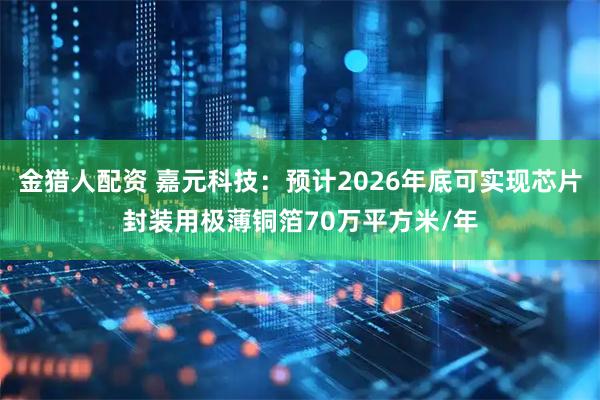 金猎人配资 嘉元科技：预计2026年底可实现芯片封装用极薄铜箔70万平方米/年