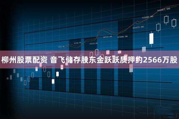 柳州股票配资 音飞储存股东金跃跃质押约2566万股