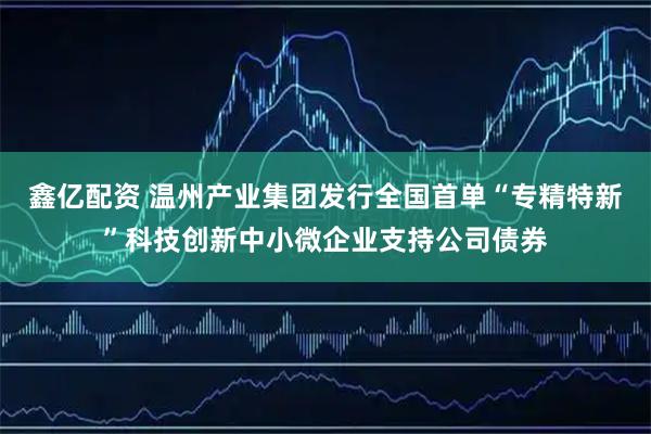 鑫亿配资 温州产业集团发行全国首单“专精特新”科技创新中小微企业支持公司债券